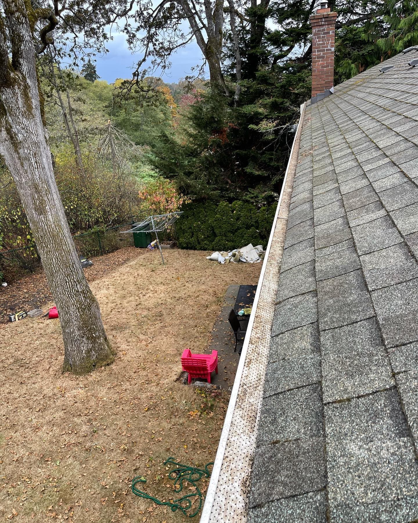 GUTTER CLEANING