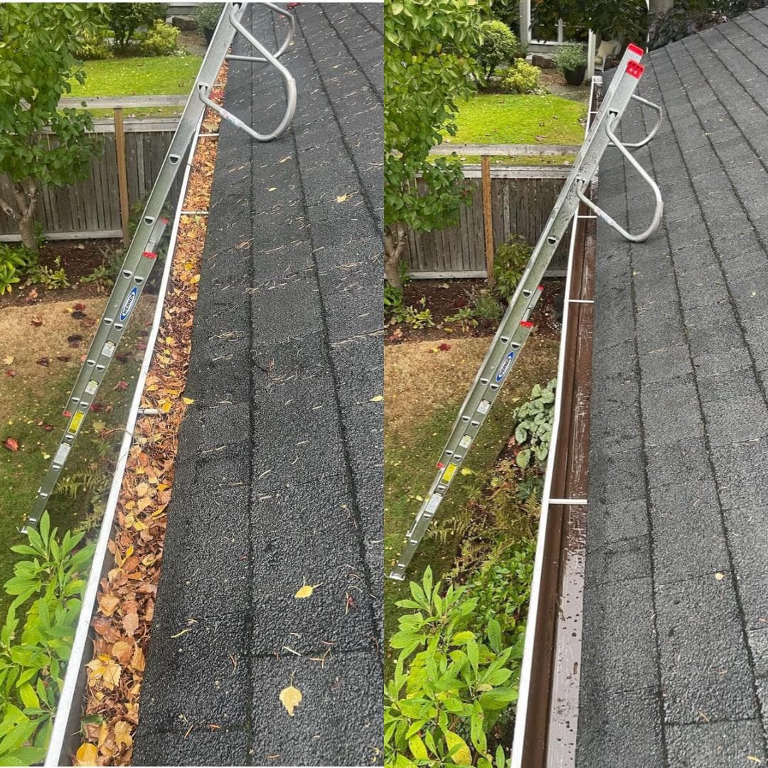 GUTTER CLEANING 1