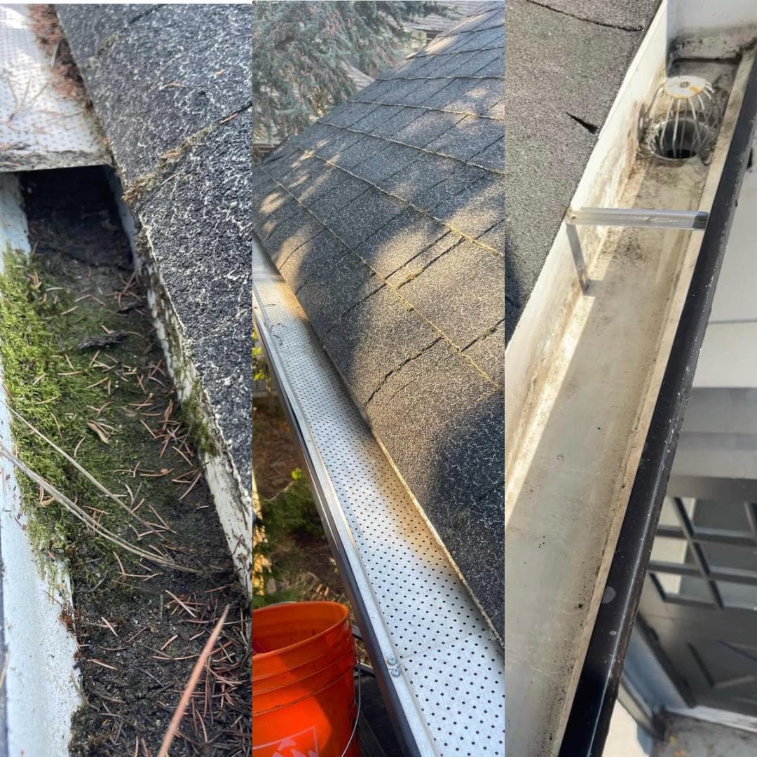GUTTER CLEANING 2