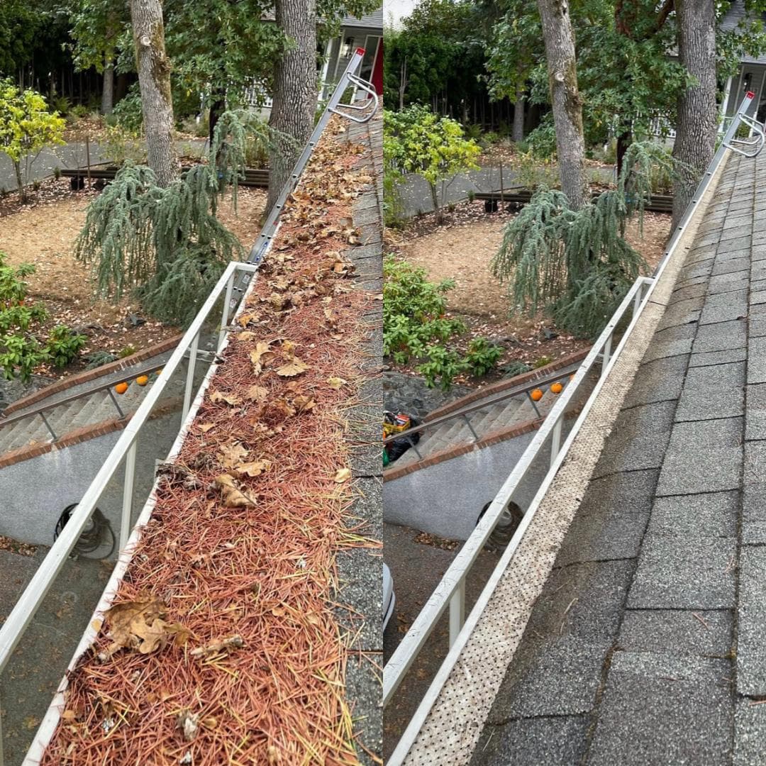 GUTTER CLEANING 3